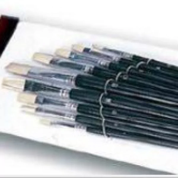 Jogo de Pinceis 9 peças Espalmados