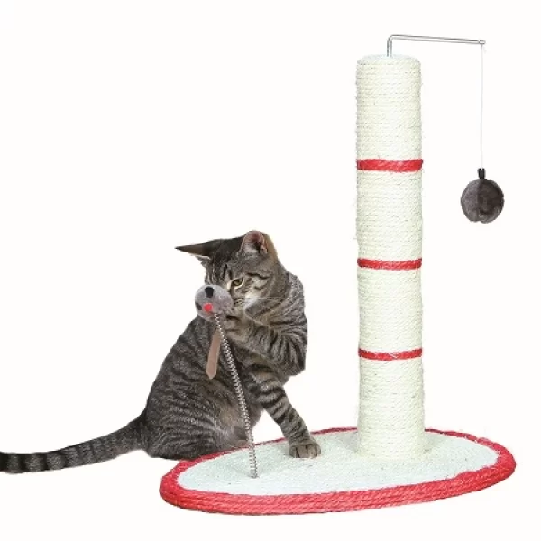  Scratch me  c/ Catnip